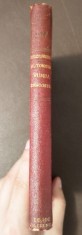 Al. Bilciurescu; M. Toneghin - Rumba dragostei (1934)