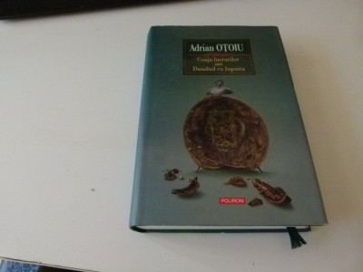 Coaja lucrurilor - Ontoiu foto
