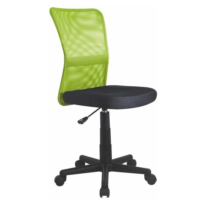 Scaun birou copii HM Dingo, Ergonomic, Cadru Polipropilena, Mesh, Inaltime ajustabila, 80 kg, 98x41x56 cm, Verde
