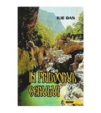 Ilie Dan - In pridvorul cerului - 116415