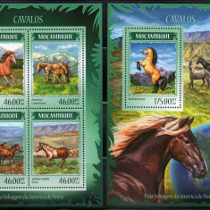 MOZAMBIC 2014, Fauna - Cai, serie neuzată, MNH