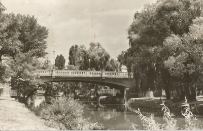 *Romania, poduri (7), Timisoara, c.p.i., circulata, 1966 foto