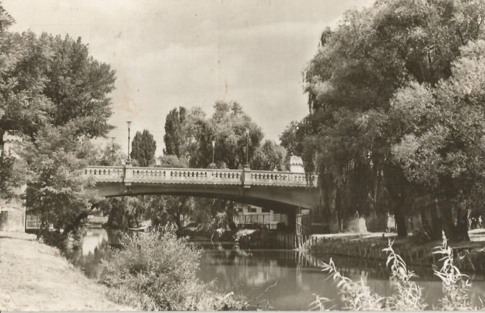 *Romania, poduri (7), Timisoara, c.p.i., circulata, 1966
