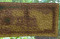 Foto  - 3
