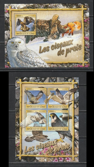 Guinea 2016 - Pasari de Prada S/S 2v MNH