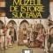 Muzeul De Istorie Suceava - Emil Ioan Emandi