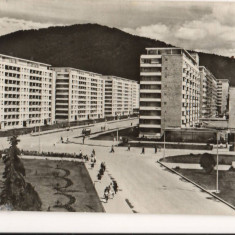 CPI B13560 CARTE POSTALA - PIATRA NEAMT