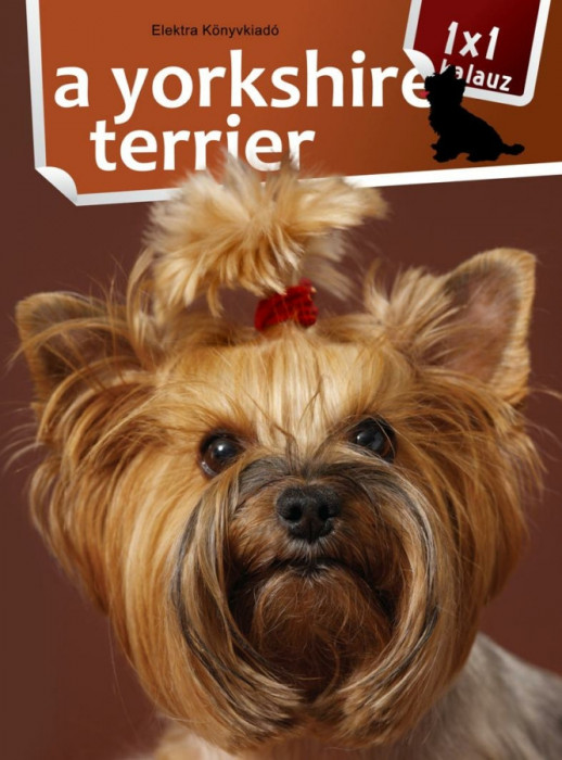 1x1 - A yorkshire terrier - Varga M&oacute;nika