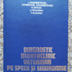 Diagnostic Morfoclinic Veterinar Pe Specii Si Sindroame - Ion Adamesteanu Si Colab. ,554062