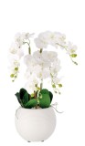 Orhidee artificiala alba in ghiveci 25 x 72 cm