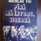 Pana ma intorc, viseaza- Nicolae Tic