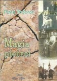 Cumpara ieftin (autograf) Magia Pietrei Petru Todoran carte 2017 editura Axis Libri literatura romana