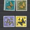 AFARS ET ISSAS 1972 FAUNA INSECTE FLUTURI