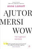 Carte Ajutor! Mersi! Wow! Anne Lamott Dezvoltare personala brosata sincera profunda Curtea Veche