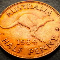 Moneda exotica HALF PENNY - AUSTRALIA, anul 1964 * cod 4248 = excelenta