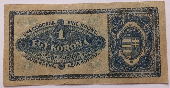Ungaria , 1 Korona 1920