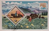 BC31, Mongolia 1983, colita neperforata fauna, traditii, peisaje