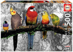 Puzzle Educa - Birds of the Jungle 500 piese foto