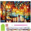 Set de broderie cu diamante 5D, 30x40cm, model Alee in parc Household NewTrend, Oem