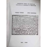 CAI DE COMUNICATII SI LUCRARI DE ARTA-VASILE BOBOC, DAN POPOVICI-248331