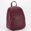 Rucsac bordo David Jones CM6734-5 11
