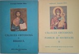 Calauza ortodoxa in Biserica. Calauza ortodoxa in familie si societate (2 volume) &ndash; Ioanichie Balan
