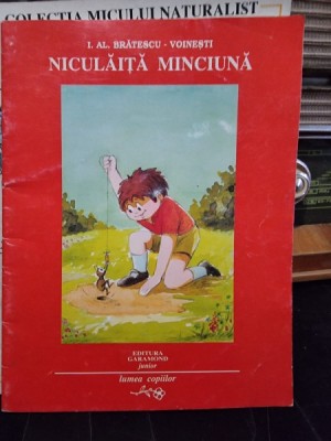 Niculaita Minciuna - I.Al. Bratescu Voinesti foto