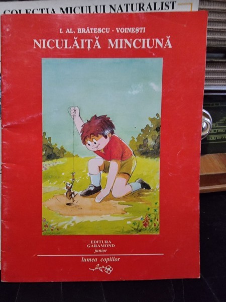 Niculaita Minciuna - I.Al. Bratescu Voinesti