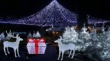 Ren gigant luminos aprox 2m inaltime, decoratiune luminoasa de extrerior, decoratiune luminoasa Craciun