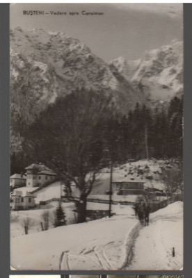 CPIB 21245 CARTE POSTALA - BUSTENI. VEDERE SPRE CARAIMAN, RPR foto