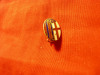 Insigna veche BFC -Italia- Bolonia Fotbal-Club , h=1cm , metal si email