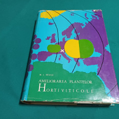 AMELIORAREA PLANTELOR HORTIVITICOLE / M.I. NEAGU / 1967 *