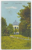 1032 - CRAIOVA, Bibescu Park, Romania - old postcard - used - 1923, Circulata, Printata