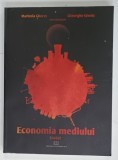 ECONOMIA MEDIULUI de MARINELA GHERES si GHEORGHE SAVOIU , 2010