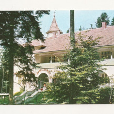 RF23 -Carte Postala- Gura Humorului, Motel Arinis, circulata 1980