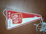 FANION POLONIA WARSOWIA