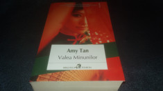 AMY TAN - VALEA MINUNILOR foto