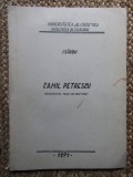 I SIRBU CAMIL PETRESCU REZUMATUL TEZEI DE DOCTORAT