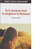 De la intristarea inimii la mangaierea lui Dumnezeu. Scrisori catre mireni - Sfantul Ignatie Briancianinov