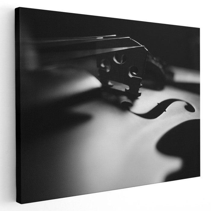 Tablou vioara alb negru instrumente muzicale 1619 Tablou canvas pe panza CU RAMA 60x80 cm