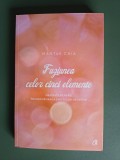 Fuziunea celor cinci elemente - Mantak Chia, 2013 / R6P3S