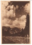 CPIB 18057 CARTE POSTALA - MUNTII BUCEGI. VALEA IALOMITEI, RPR, Circulata, Fotografie