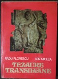 TEZAURE TRANSILVANE - RADU FLORESC /ION MICLEA