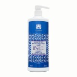 Sampon Nuantator Argintiu Power Color Valquer 1000 ml