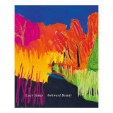 Cumpara ieftin Awkward Beauty - Lucy Jones - Carti in engleza - Portrete si Peisaje - 25 ani de evolutie artistica