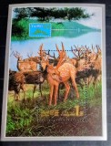 Coreea 1993 căprioare, animale fauna bloc neștampilat Korea 1993, Nestampilat