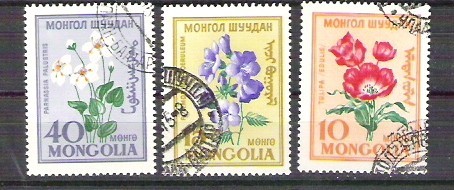 Mongolia 1960 Flowers, used E.130