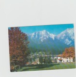 bnk cp Poiana Tapului - Vedere spre muntii Bucegi - necirculata