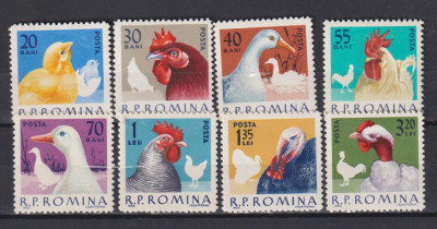 ROMANIA 1963 PASARI DE RASA LP. 560 MNH foto