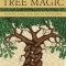 Celtic Tree Magic: Ogham Lore and Druid Mysteries